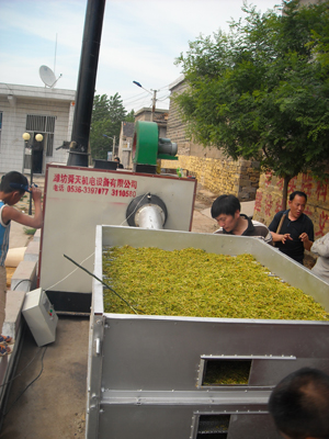 【經(jīng)驗】金銀花烘干機有哪些優(yōu)點 金銀花烘干機設(shè)備劃分方法有哪些